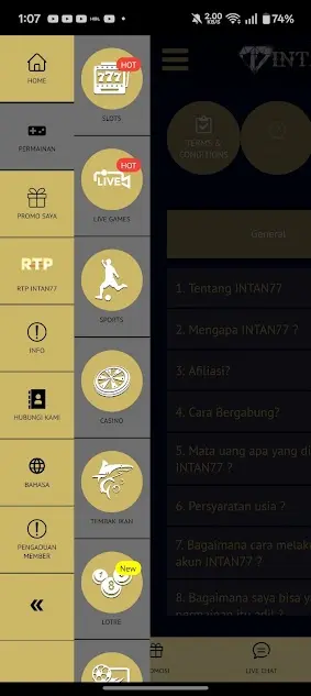 Screenshot of Intan77 Android